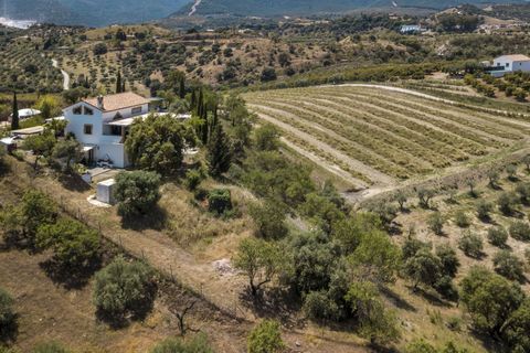 Finca i Coin, Malaga, Coin - € 525.000 | Ref: R5284102 - foto 31