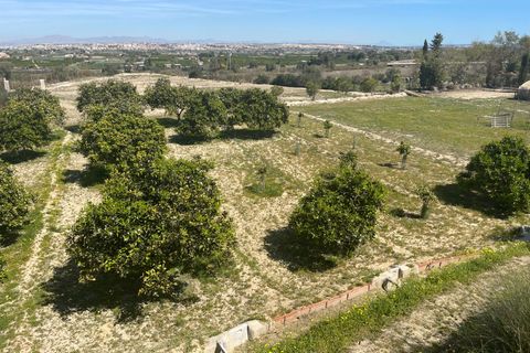 Villa a Rojales, Alicante, Rojales - € 460.000 | Ref: MLSC1082000/13477 - foto 3