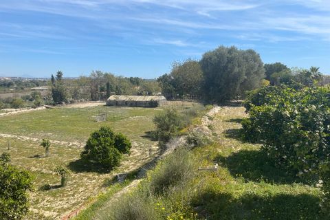 Villa a Rojales, Alicante, Rojales - € 460.000 | Ref: MLSC1082000/13477 - foto 15