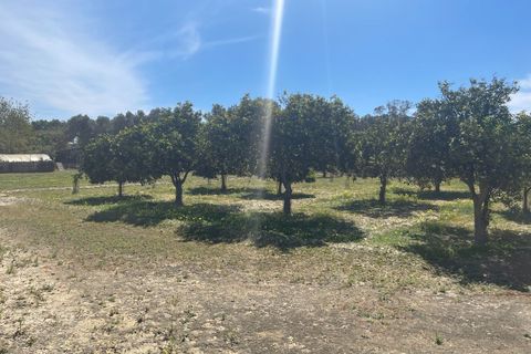 Villa a Rojales, Alicante, Rojales - € 460.000 | Ref: MLSC1082000/13477 - foto 16