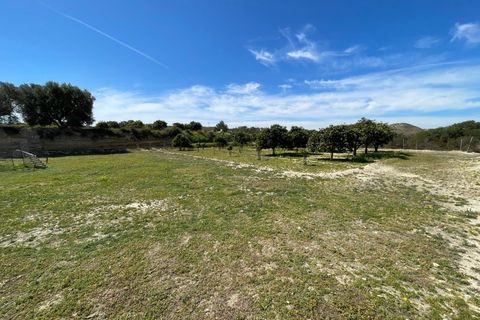Villa a Rojales, Alicante, Rojales - € 460.000 | Ref: MLSC1082000/13477 - foto 29