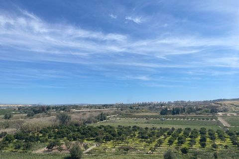 Villa a Rojales, Alicante, Rojales - € 460.000 | Ref: MLSC1082000/13477 - foto 32