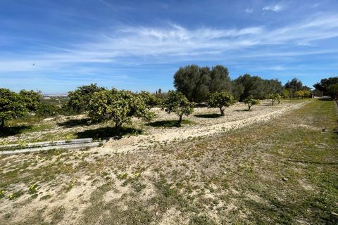 Villa a Rojales, Alicante, Rojales - € 460.000 | Ref: MLSC1082000/13477 - foto 39