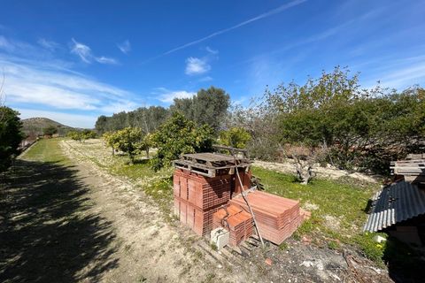 Villa a Rojales, Alicante, Rojales - € 460.000 | Ref: MLSC1082000/13477 - foto 40