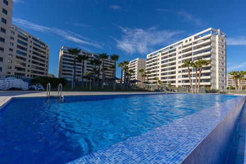 Lejlighed i Torrevieja, Alicante, Torrevieja - € 765.000 | Ref: MLSC1600222/13477 - foto 36