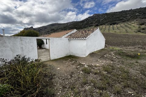 Landejendom i Montecorto, Malaga, Montecorto - € 599.999 | Ref: z627 - foto 5