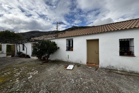 Landejendom i Montecorto, Malaga, Montecorto - € 599.999 | Ref: z627 - foto 14