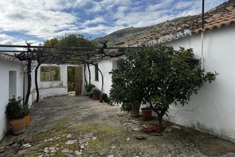 Landejendom i Montecorto, Malaga, Montecorto - € 599.999 | Ref: z627 - foto 24