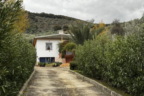 Landejendom i Olvera, Cadiz, Olvera - € 475.000 | Ref: z626 - foto 31