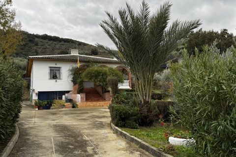 Landejendom i Olvera, Cadiz, Olvera - € 475.000 | Ref: z626 - foto 35