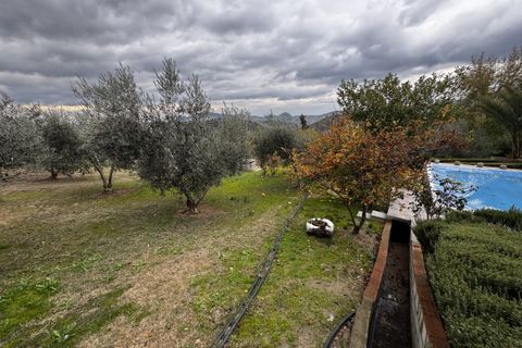Landejendom i Olvera, Cadiz, Olvera - € 475.000 | Ref: z626 - foto 39
