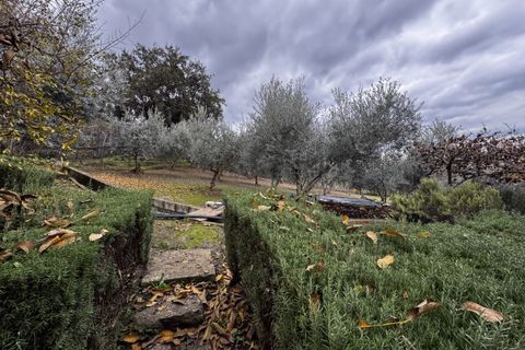 Landejendom i Olvera, Cadiz, Olvera - € 475.000 | Ref: z626 - foto 38