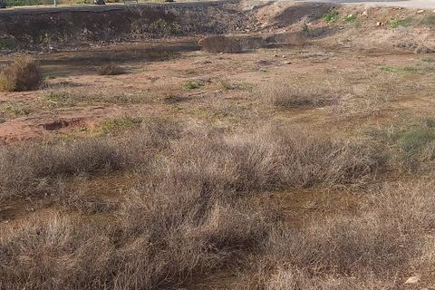 Helårsgrund i Grao De Moncofar, Castellon, Grao De Moncofar - € 1.599.000 | Ref: EXP12615/8930 - foto 3