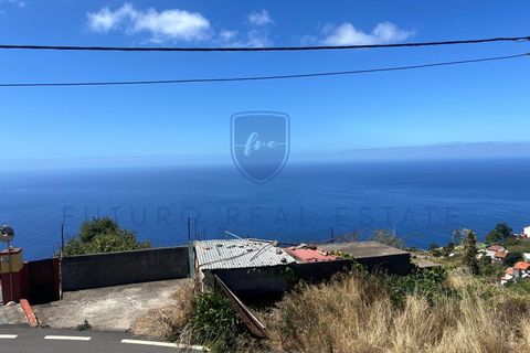 Villa i Calheta, Madeira, Calheta - € 435.000 | Ref: F733 - foto 5