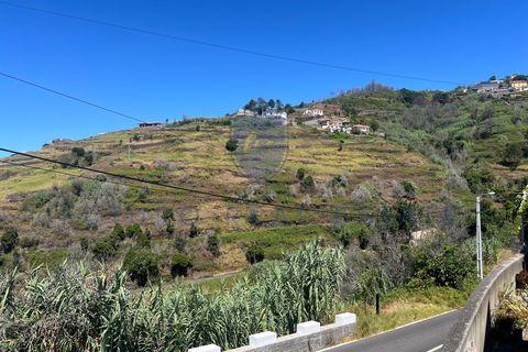 Villa i Calheta, Madeira, Calheta - € 435.000 | Ref: F733 - foto 39
