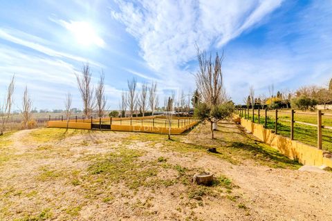 Landejendom i La Munia, Barcelona, La Munia - € 1.290.000 | Ref: SIT48852 - foto 31