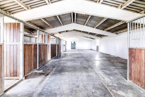 Landejendom i La Munia, Barcelona, La Munia - € 1.290.000 | Ref: SIT48852 - foto 33