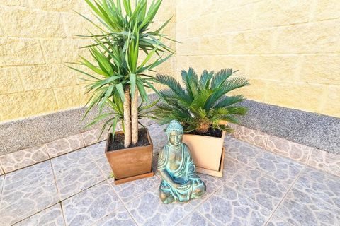 Byhus i Torrevieja, Alicante, Torrevieja - € 133.000 | Ref: 751938 - foto 25