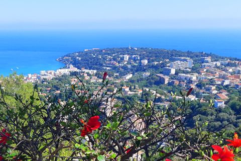 Villa i Roquebrune-Cap-Martin, Alpes-Maritimes, Roquebrune-Cap-Martin - € 4.800.000 | Ref: dan - foto 2