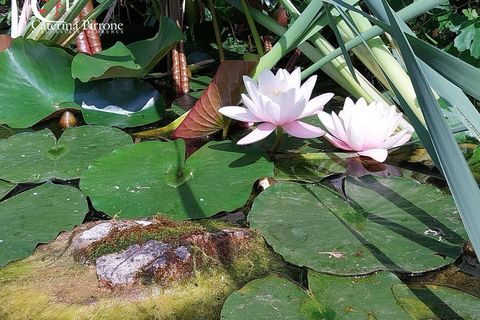 Villa i Vicchio, Florence, Vicchio - € 450.000 | Ref: GT08 - foto 14