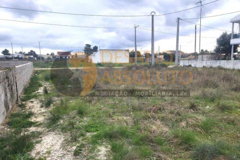 Terra a Quinta do Anjo, Setubal, Quinta do Anjo - € 60.000 | Ref: 3458 - foto 3