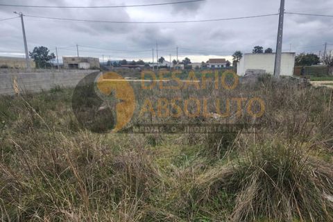Terra a Quinta do Anjo, Setubal, Quinta do Anjo - € 60.000 | Ref: 3458 - foto 4