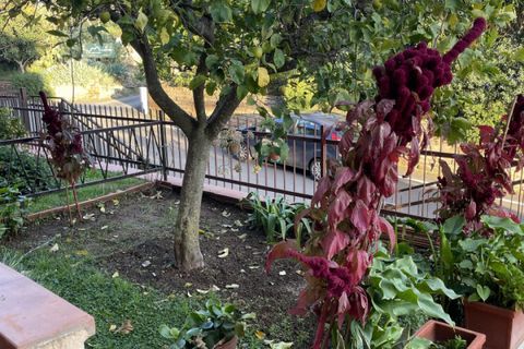 Lejlighed i Capalbio, Grosseto, Capalbio - € 350.000 | Ref: V-233 - foto 1
