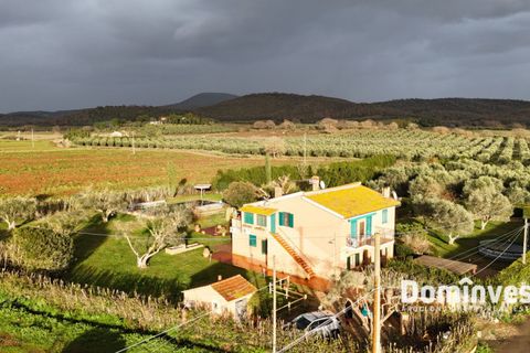 Landejendom i Capalbio, Grosseto, Capalbio - € 690.000 | Ref: V-234 - foto 1