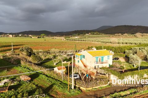 Landejendom i Capalbio, Grosseto, Capalbio - € 690.000 | Ref: V-234 - foto 11