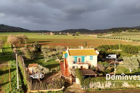 Landejendom i Capalbio, Grosseto, Capalbio - € 690.000 | Ref: V-234 - foto 12