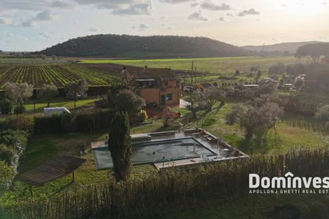 Landejendom i Capalbio, Grosseto, Capalbio - € 690.000 | Ref: V-234 - foto 14