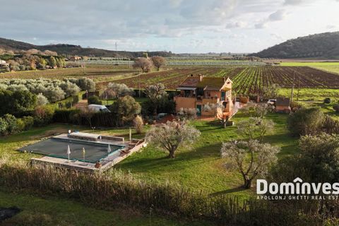 Landejendom i Capalbio, Grosseto, Capalbio - € 690.000 | Ref: V-234 - foto 15