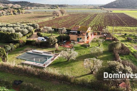 Landejendom i Capalbio, Grosseto, Capalbio - € 690.000 | Ref: V-234 - foto 16