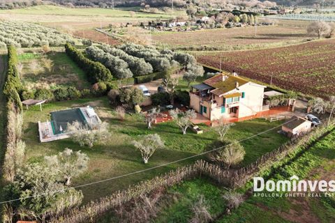 Landejendom i Capalbio, Grosseto, Capalbio - € 690.000 | Ref: V-234 - foto 17