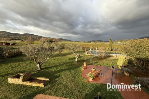 Landejendom i Capalbio, Grosseto, Capalbio - € 690.000 | Ref: V-234 - foto 18