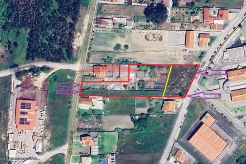 Terra a Fermentelos, Aveiro, Fermentelos - € 97.800 | Ref: AV1113 - foto 2