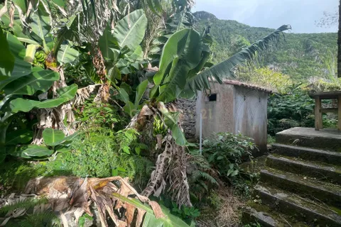 Villa i Lagens, Terceira, Lagens - € 160.000 | Ref: C0519-00147 - foto 15