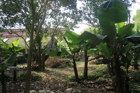 Villa i Lagens, Terceira, Lagens - € 160.000 | Ref: C0519-00147 - foto 17