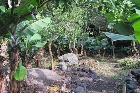Villa i Lagens, Terceira, Lagens - € 160.000 | Ref: C0519-00147 - foto 19