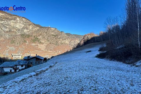 Terra a Arvier, Aosta Valley, Arvier - € 50.000 | Ref: 5641 - foto 2