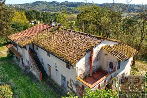 Villa a Palaia, Pisa, Palaia - € 537.000 | Ref: v627313-x - foto 2