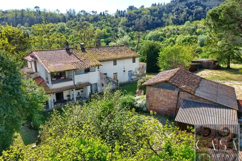 Villa a Palaia, Pisa, Palaia - € 537.000 | Ref: v627313-x - foto 4