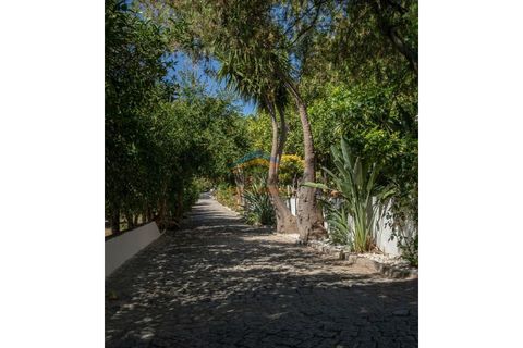 Farm i Elvas, Portalegre, Elvas - € 1.800.000 | Ref: 505 - foto 40