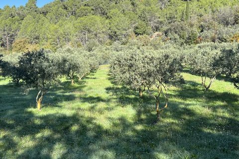 Villa a Claviers, Var, Claviers - € 1.260.000 | Ref: HH-16036488 - foto 9