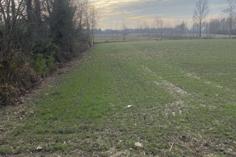 Terra a Arzergrande, Padua, Arzergrande - € 60.000 | Ref: ARZV9 - foto 3