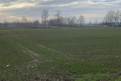 Terra a Arzergrande, Padua, Arzergrande - € 60.000 | Ref: ARZV9 - foto 4