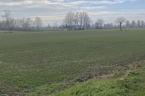 Terra a Arzergrande, Padua, Arzergrande - € 60.000 | Ref: ARZV9 - foto 5