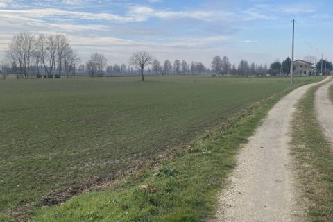 Terra a Arzergrande, Padua, Arzergrande - € 60.000 | Ref: ARZV9 - foto 6