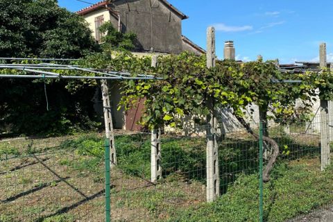 Villa i Codevigo, Padua, Codevigo - € 89.000 | Ref: COD37 - foto 12