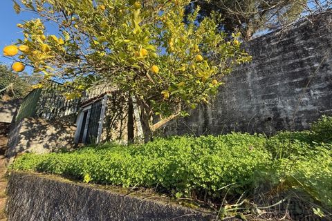 Villa i Coimbra, Coimbra, Coimbra - € 337.500 | Ref: 15615U - foto 7